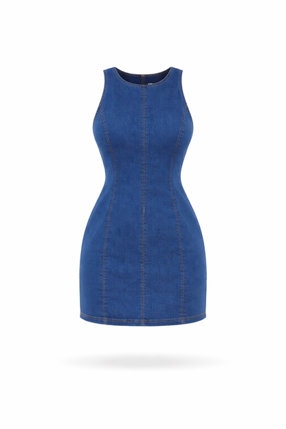 Paola Denim Dress