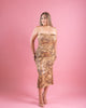 Paola Mesh Dress