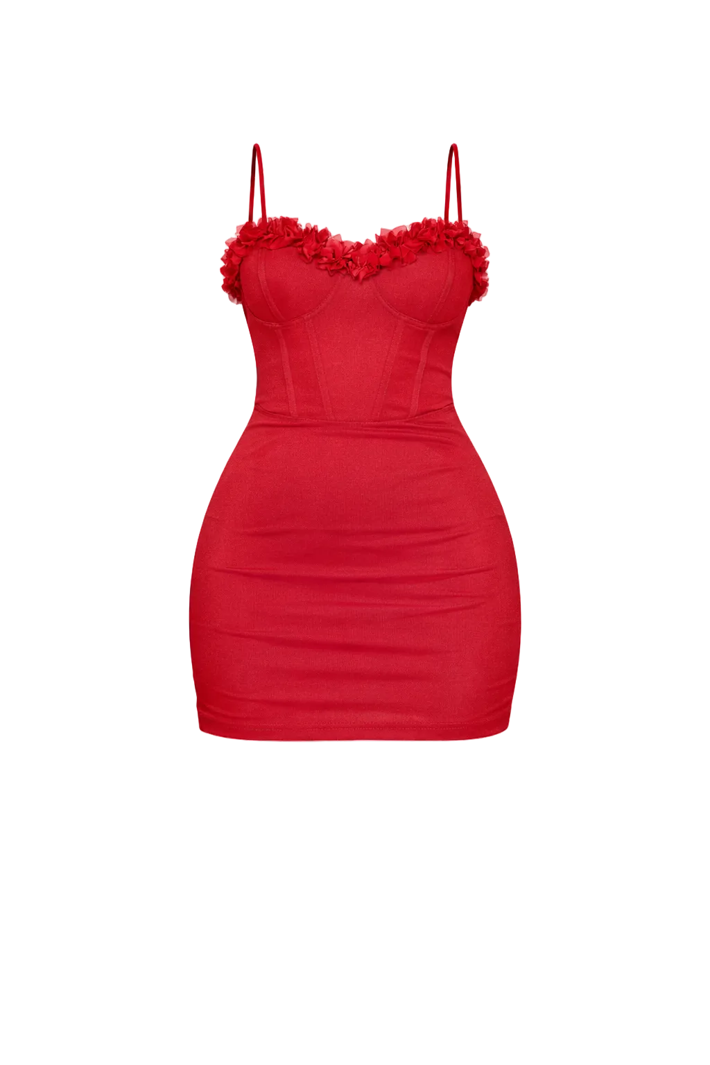 Rubi Mini Dress
