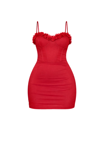 Rubi Mini Dress